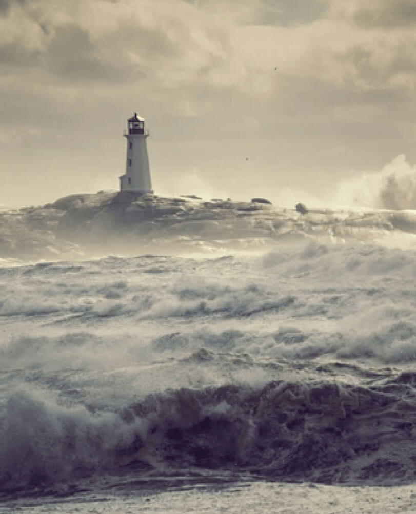 CMO's Guide to Navigating